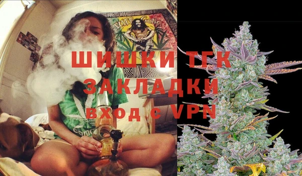 гашик Карпинск
