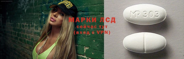 гашик Карпинск