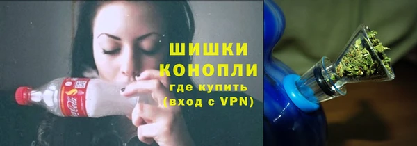 гашик Карпинск