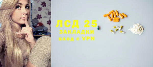 гашик Карпинск