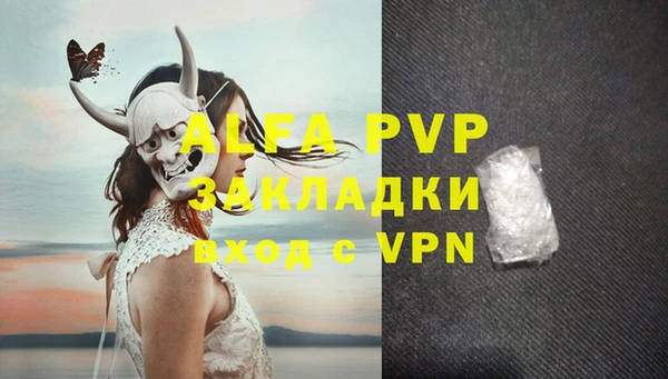 гашик Карпинск