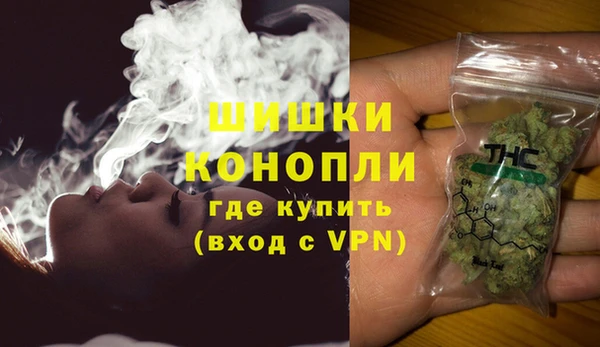 гашик Карпинск