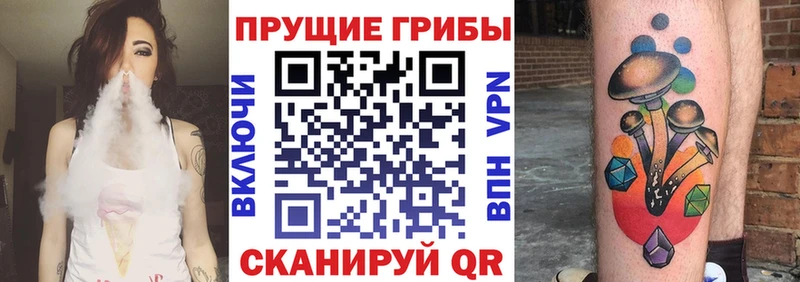 Купить где  Плёс  Галлюциногенные грибы мицелий 