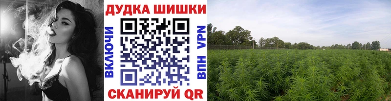 Каннабис Ganja  Купить где  Плёс 